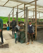 Black Condor Innovation Microlot