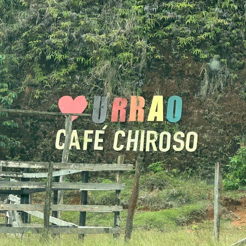 Tropical Chiroso Innovation Microlot