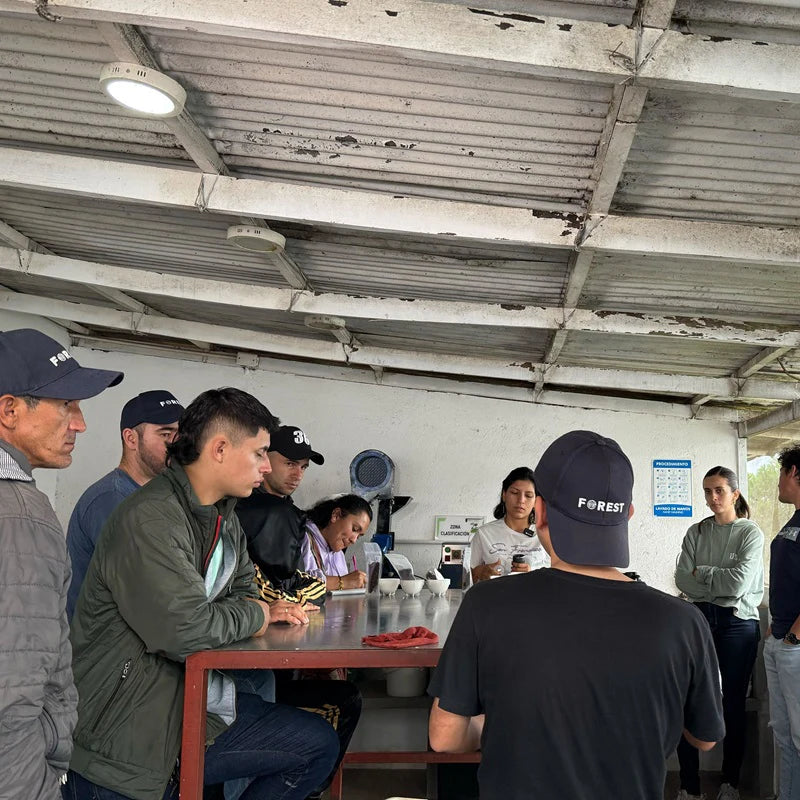 Ceiba Honey Colombia Innovation Microlot